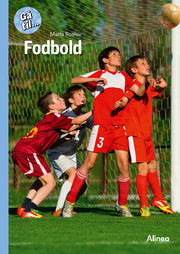 Forside billede